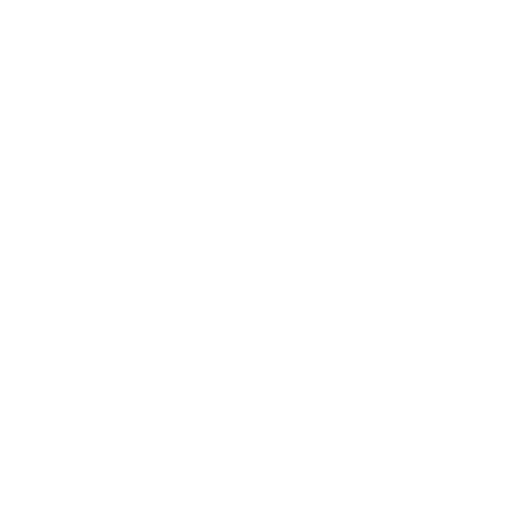 video icon