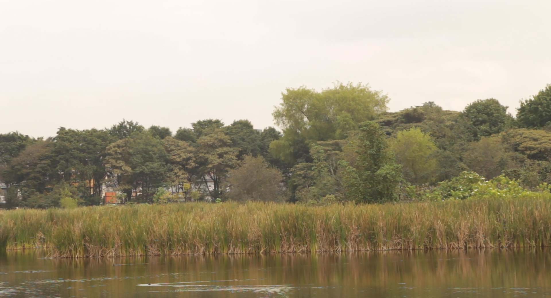 Santa María del Lago wetland