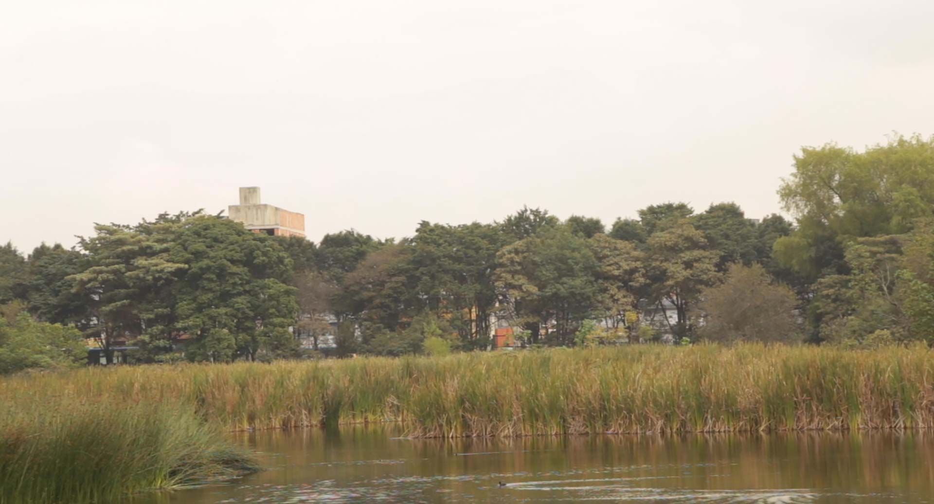 Santa María del Lago wetland