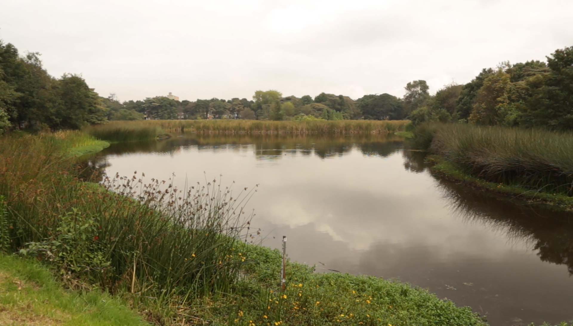 Santa María del Lago wetland