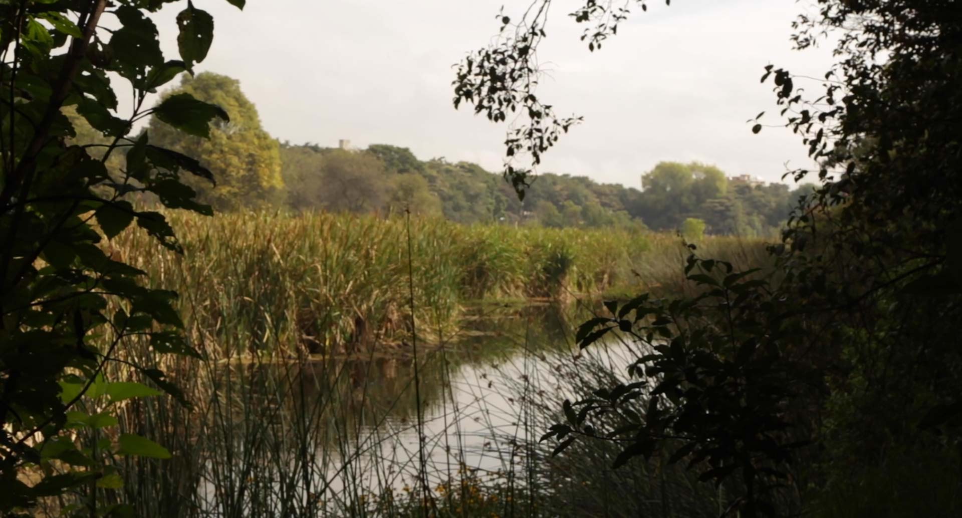 Santa María del Lago wetland