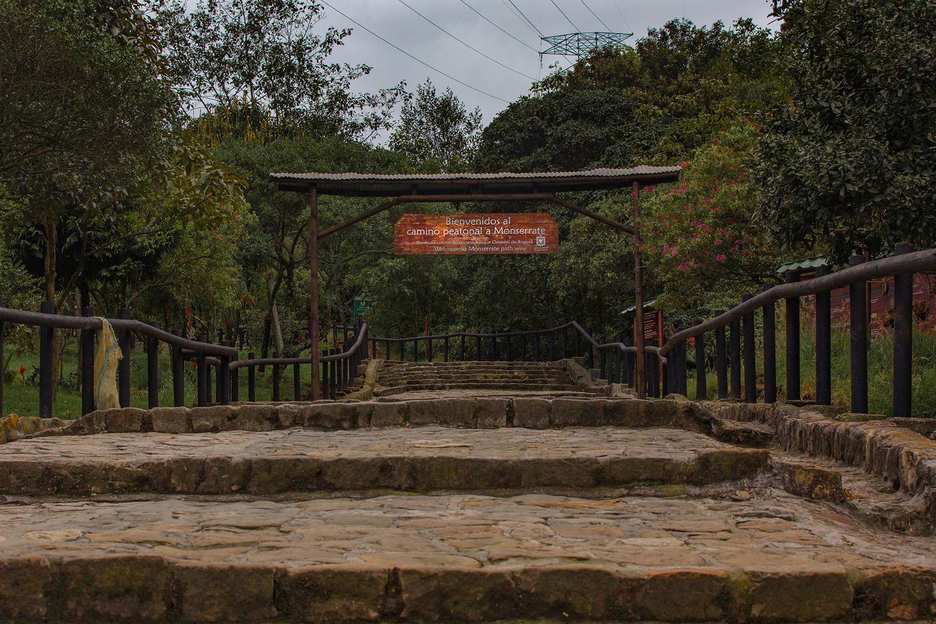 Cerros Orientales Bogotá