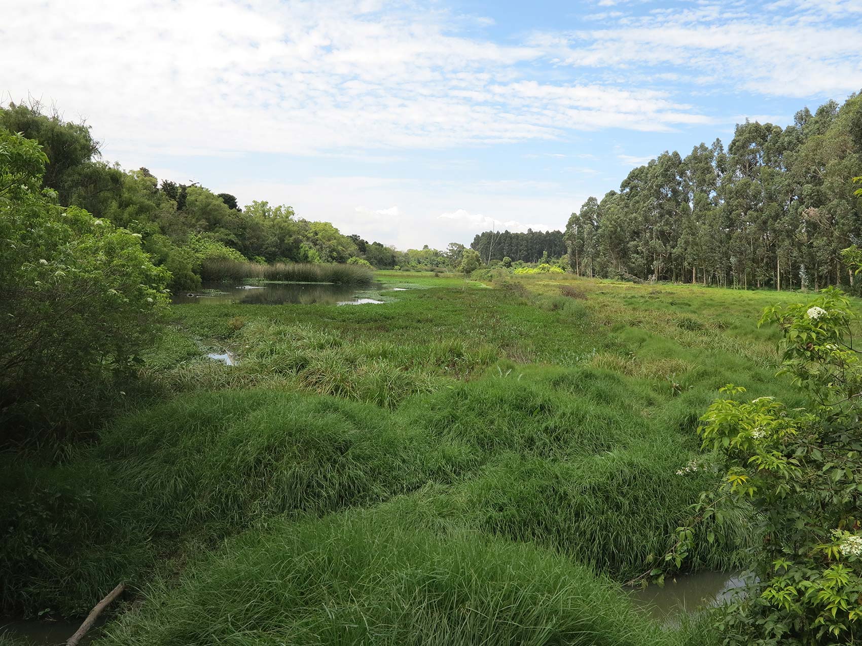 La Conejera Wetland District Ecological Park