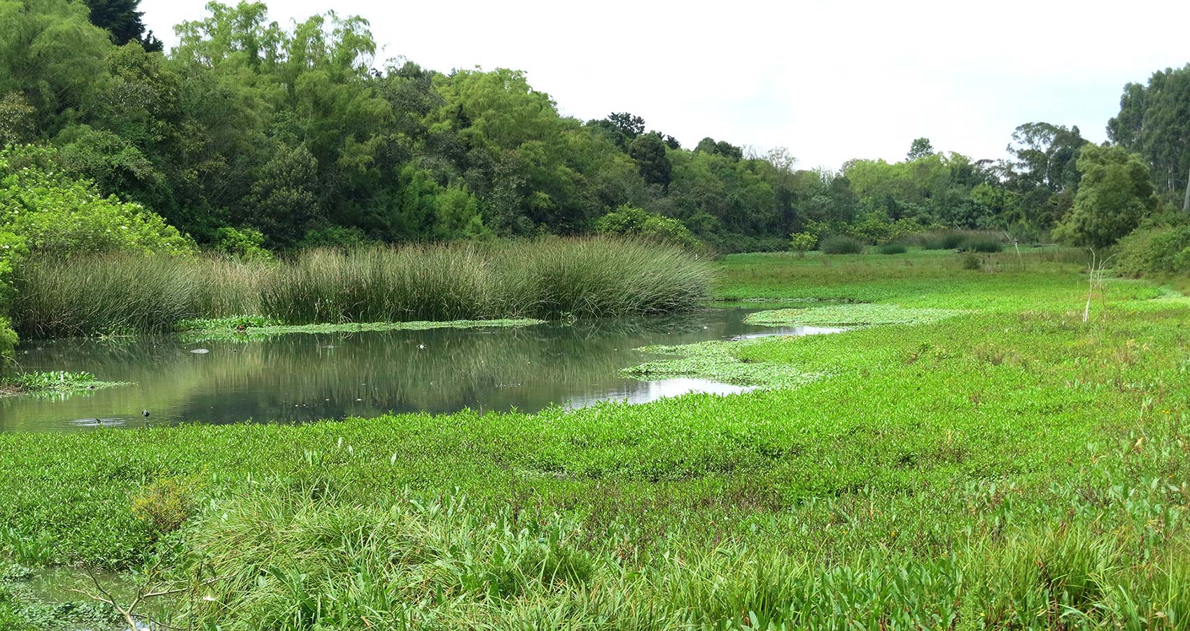 La Conejera Wetland District Ecological Park