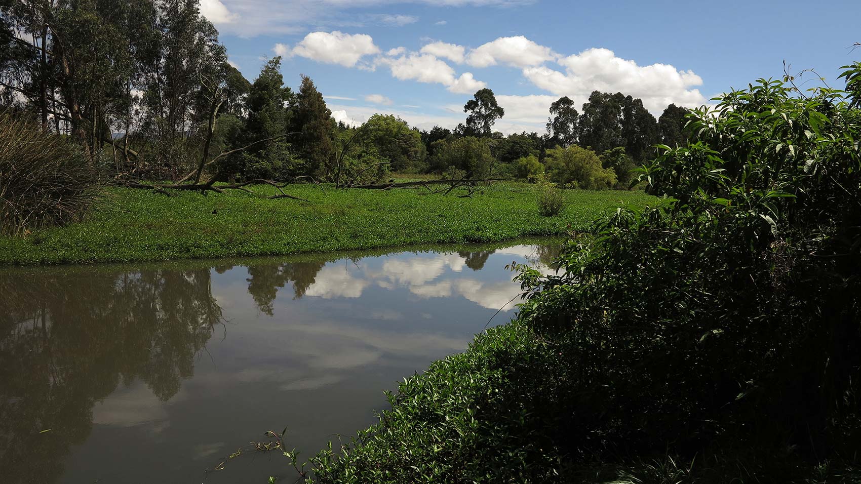 La Conejera Wetland District Ecological Park