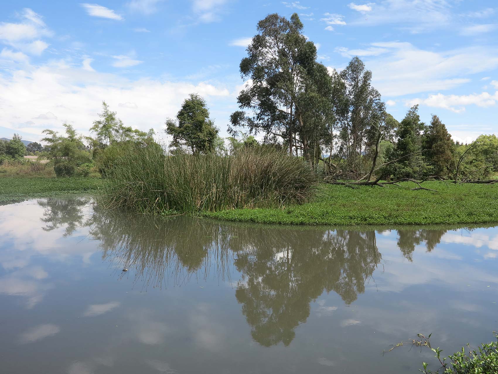 La Conejera Wetland District Ecological Park