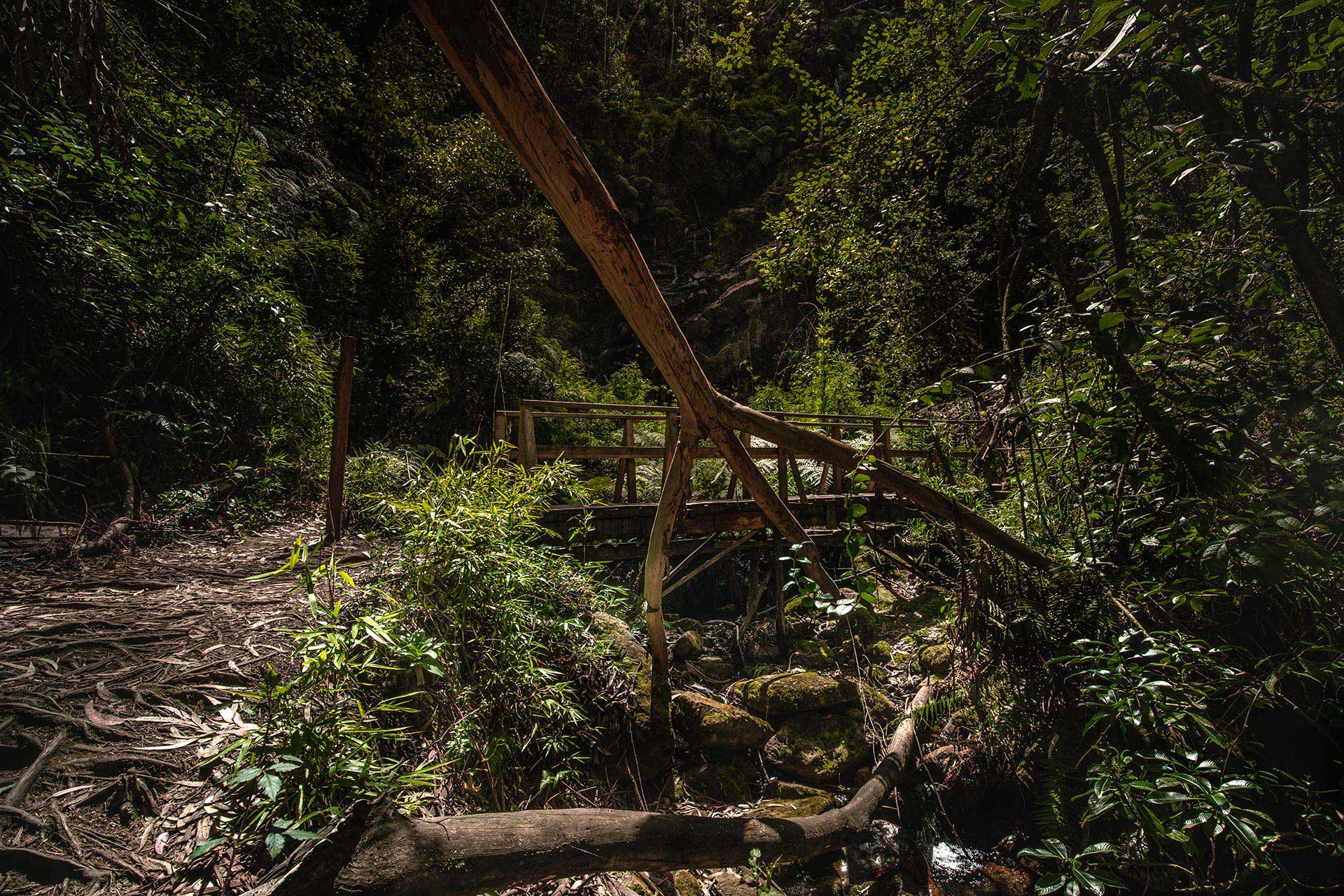 Sendero Quebrada Las Delicias Guía De Senderismo En Bogotá Visitbogota