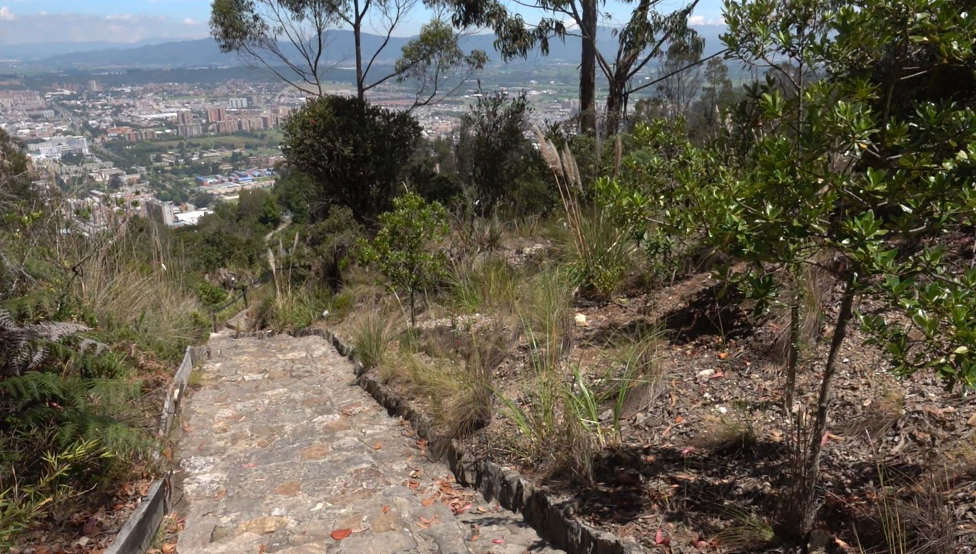 Aula Ambiental Soratama