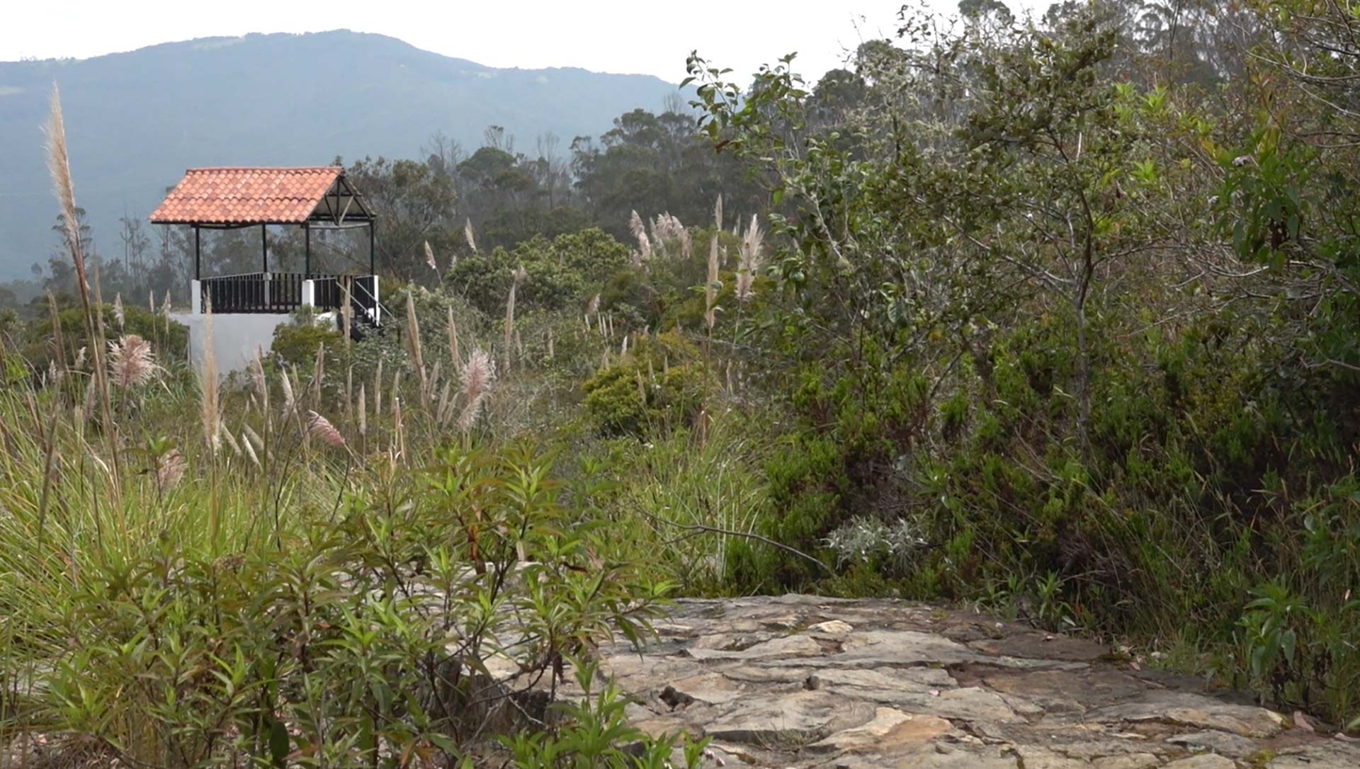 Aula Ambiental Soratama