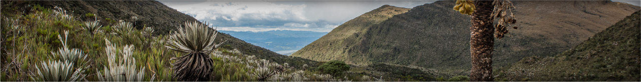 MITOS Y LEYENDAS RUTA LEYENDA EL DORADO