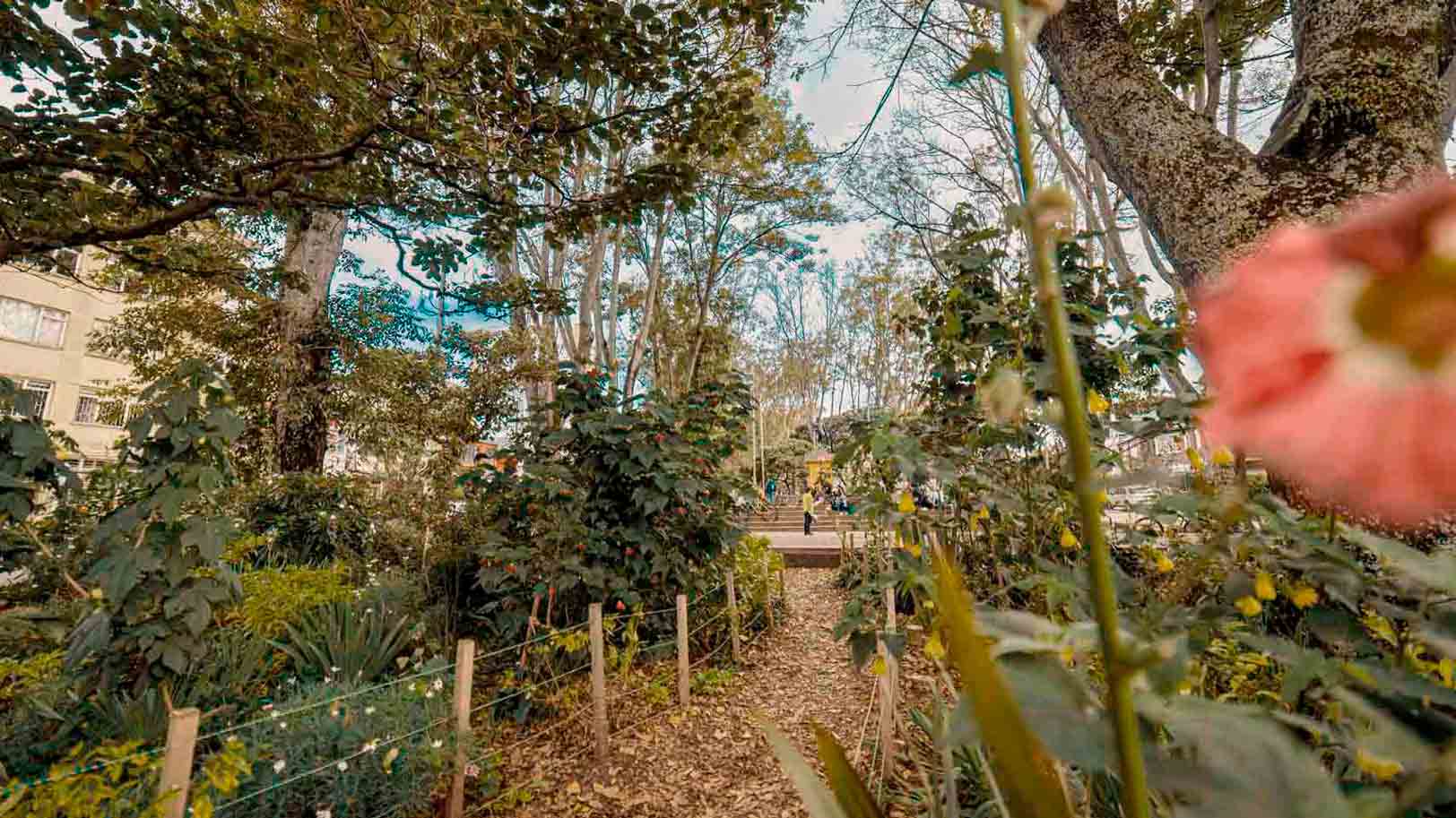 Vida Nocturna en Parkway, Bogotá - Guía Turística | VisitBogota.co