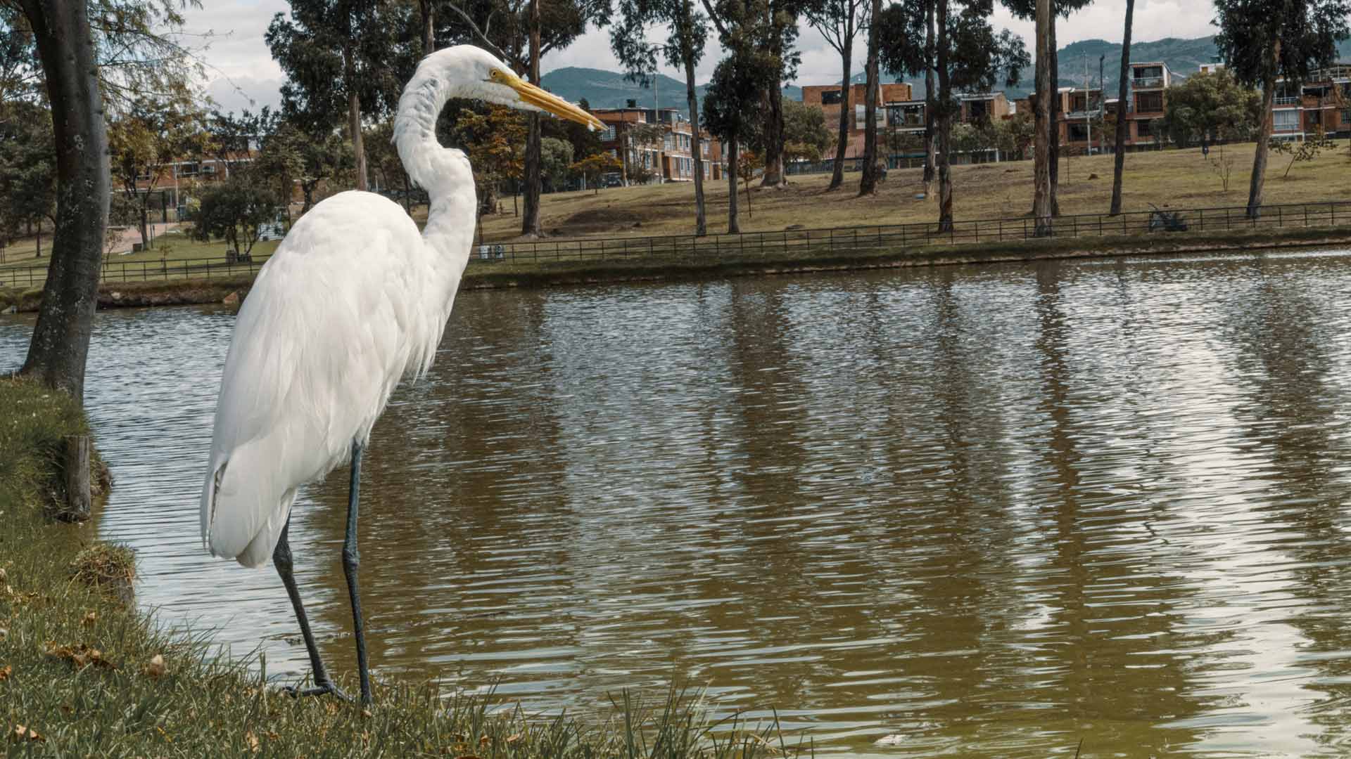  Parque Timiza em Bogotá