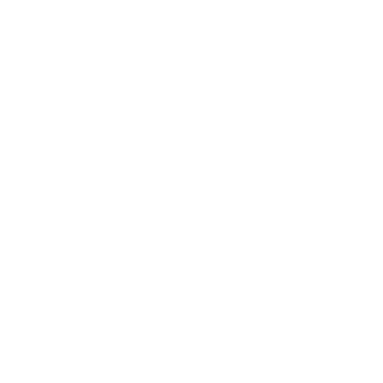 BIKE PATH ICON