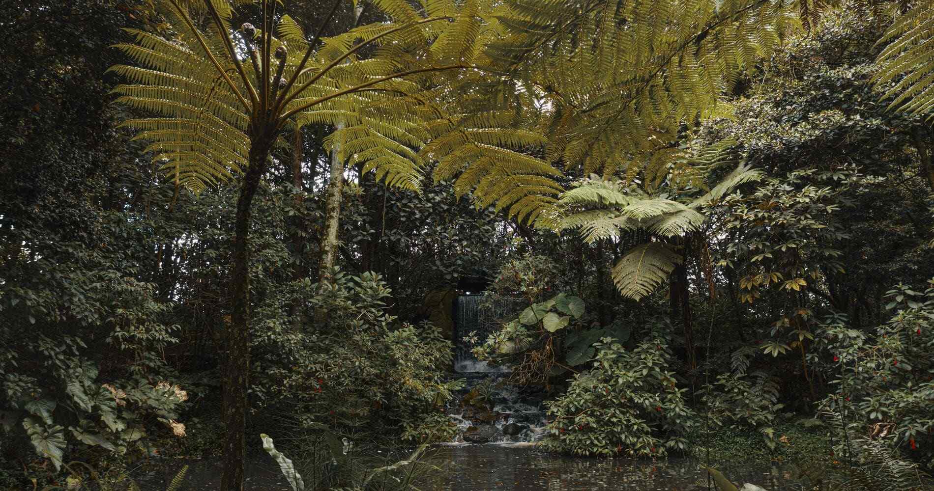 Jardín Botánico José Celestino Mutis