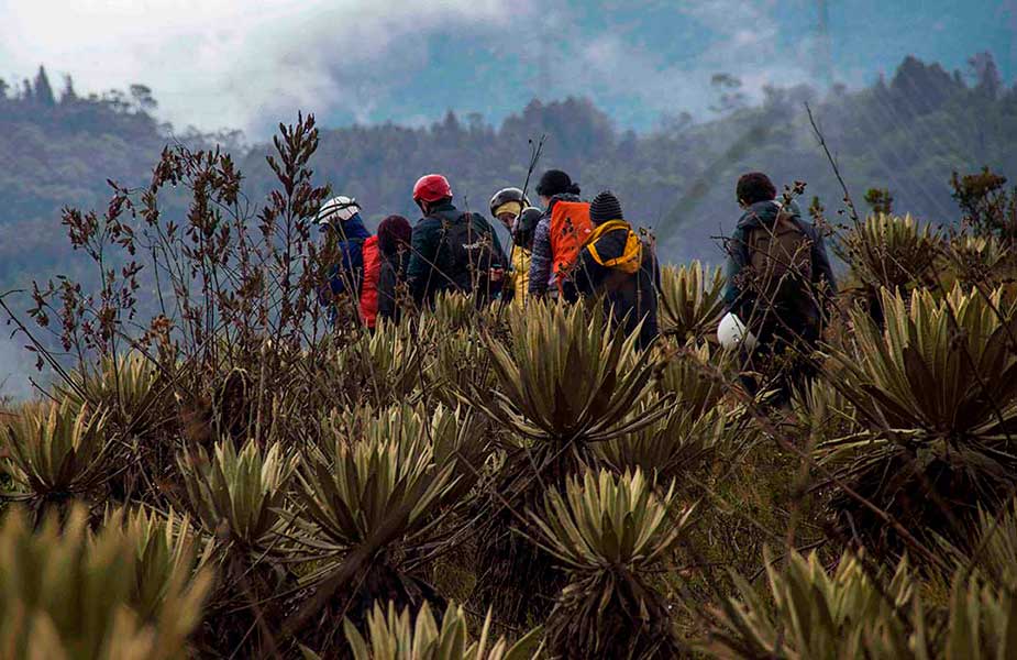 Concientízate Bogotá