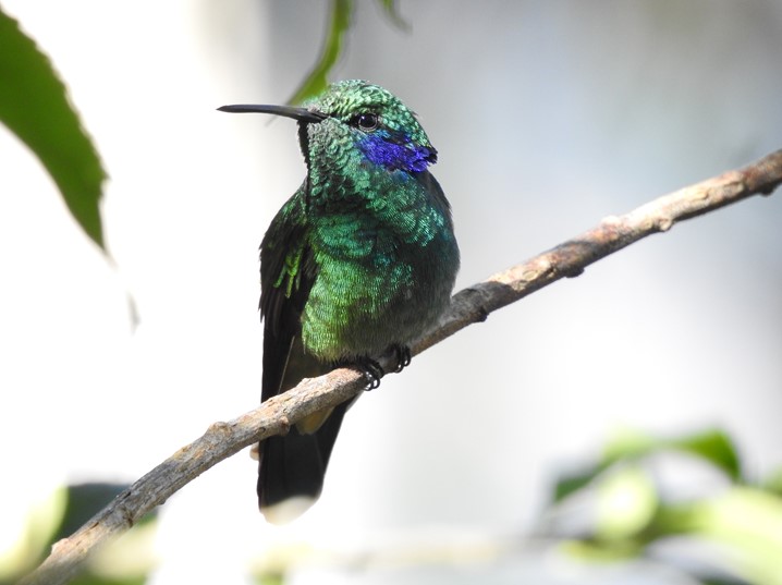 NATURALEza BOGOTA