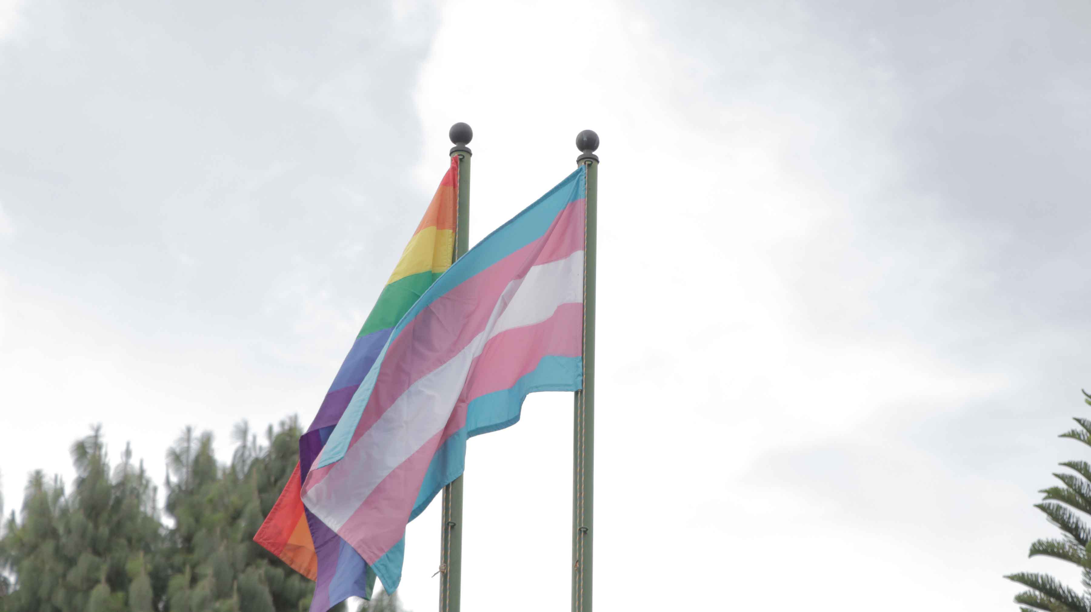 Festival de la Diversidad de San Cristóbal