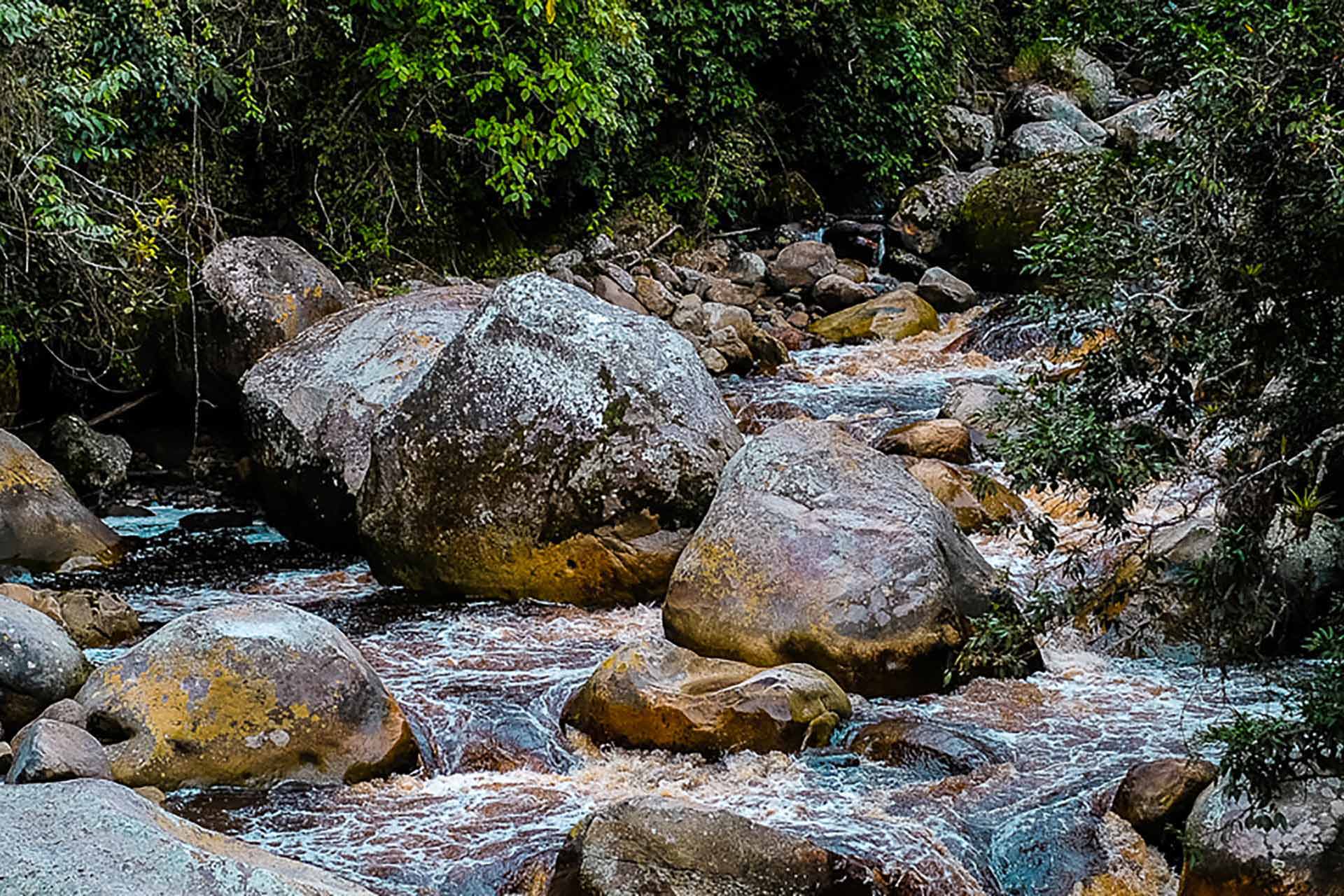 AVENTURA BOGOTA