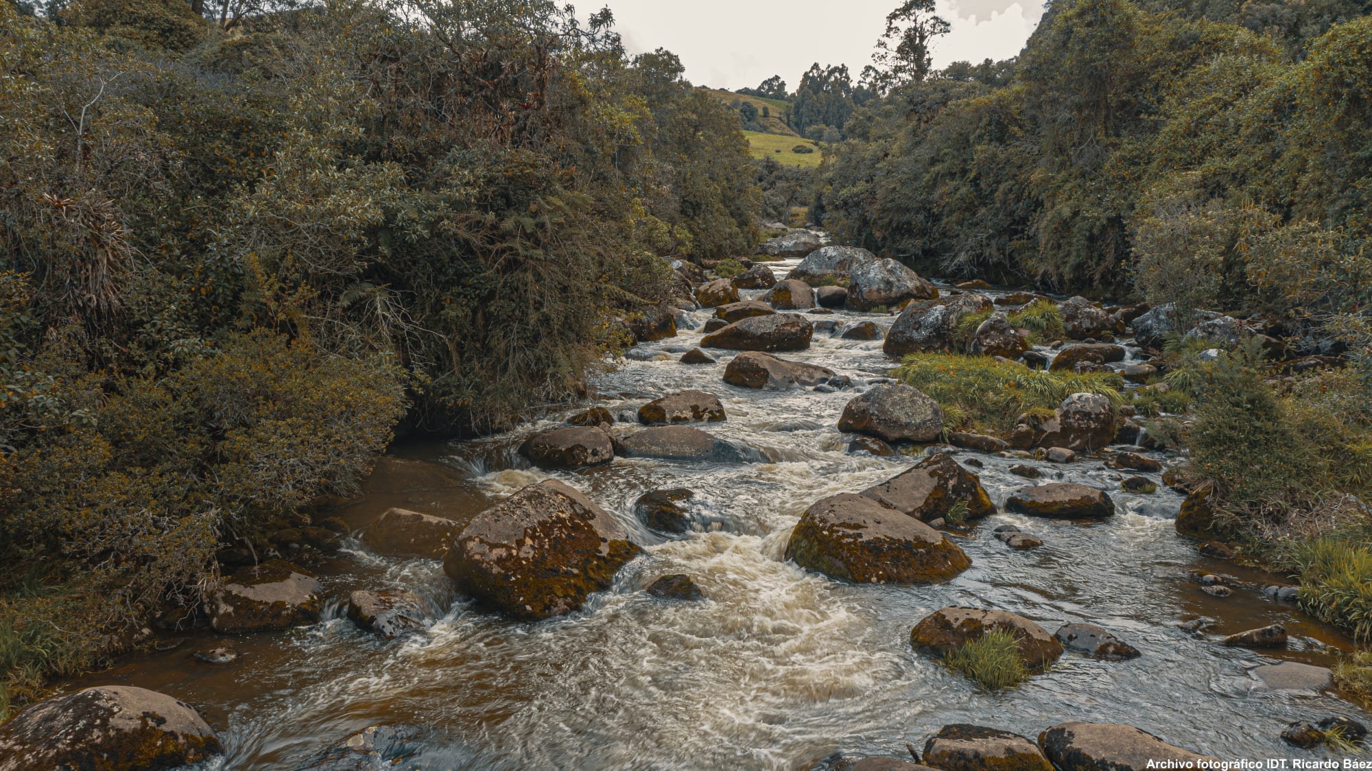 GUATAVITA