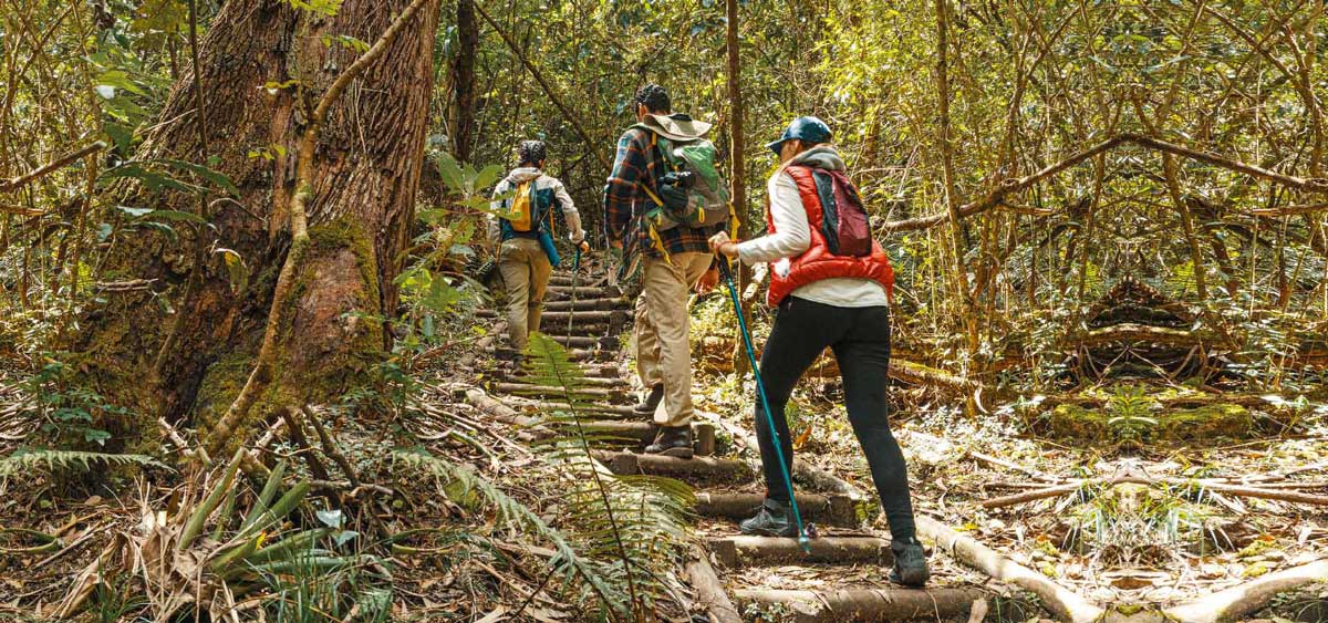 Es hora de volver a la naturaleza