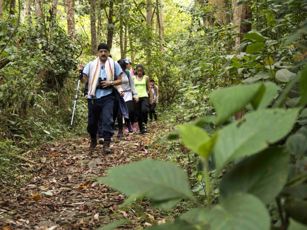 Expedición Botánica