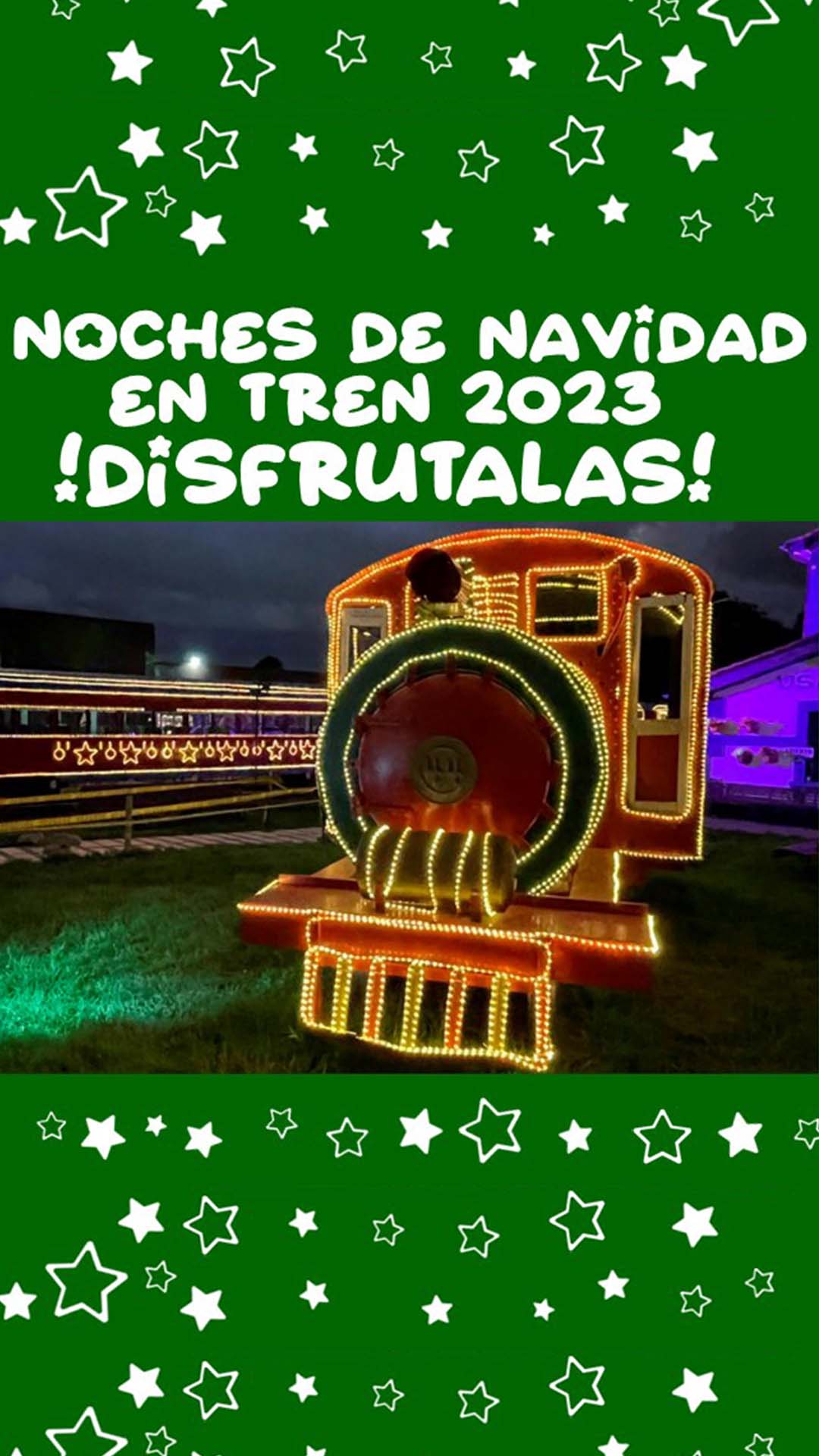 Noches de navidad en tren