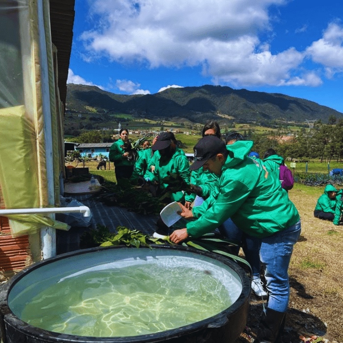 RURALIDAD BOGOTA