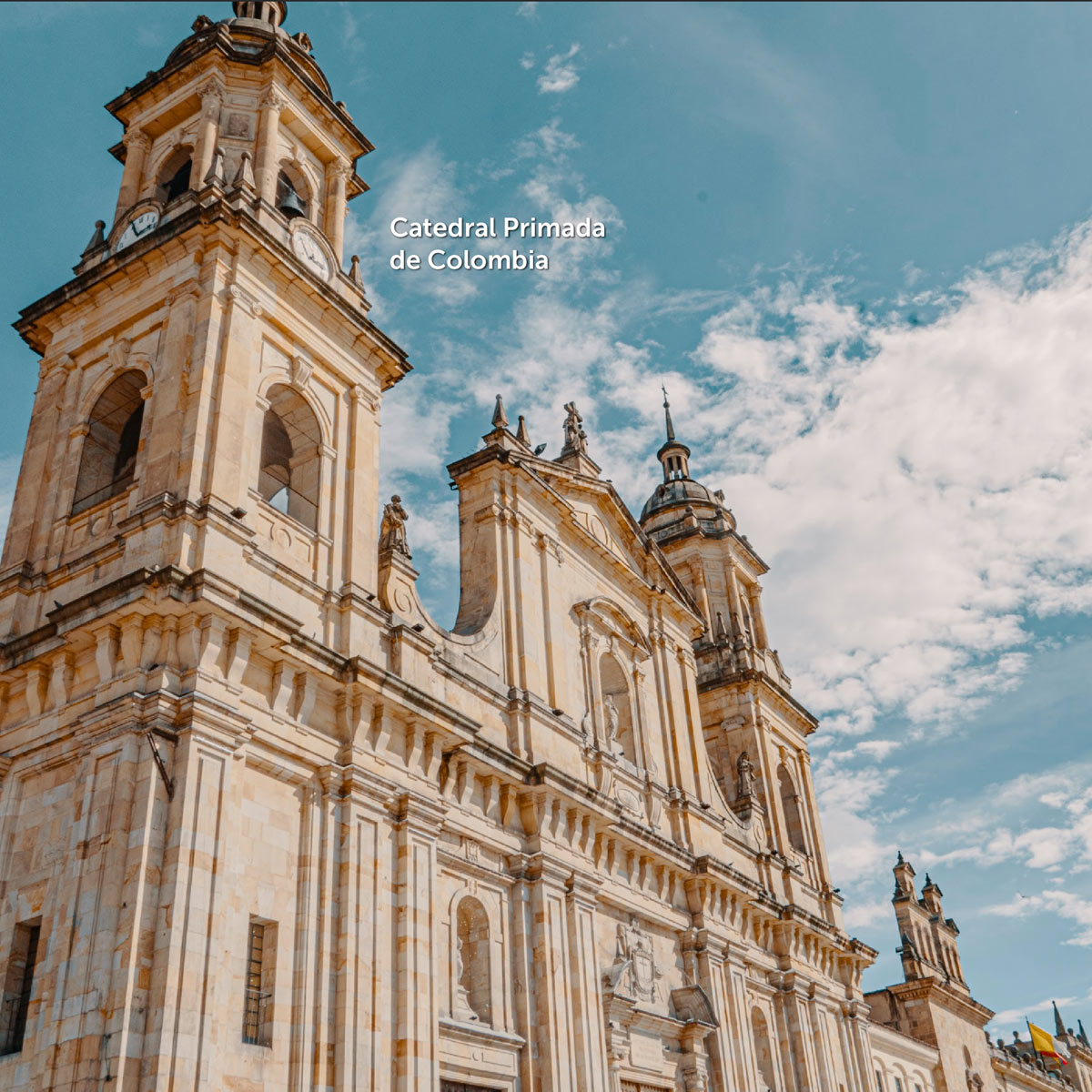 Catedral Primada