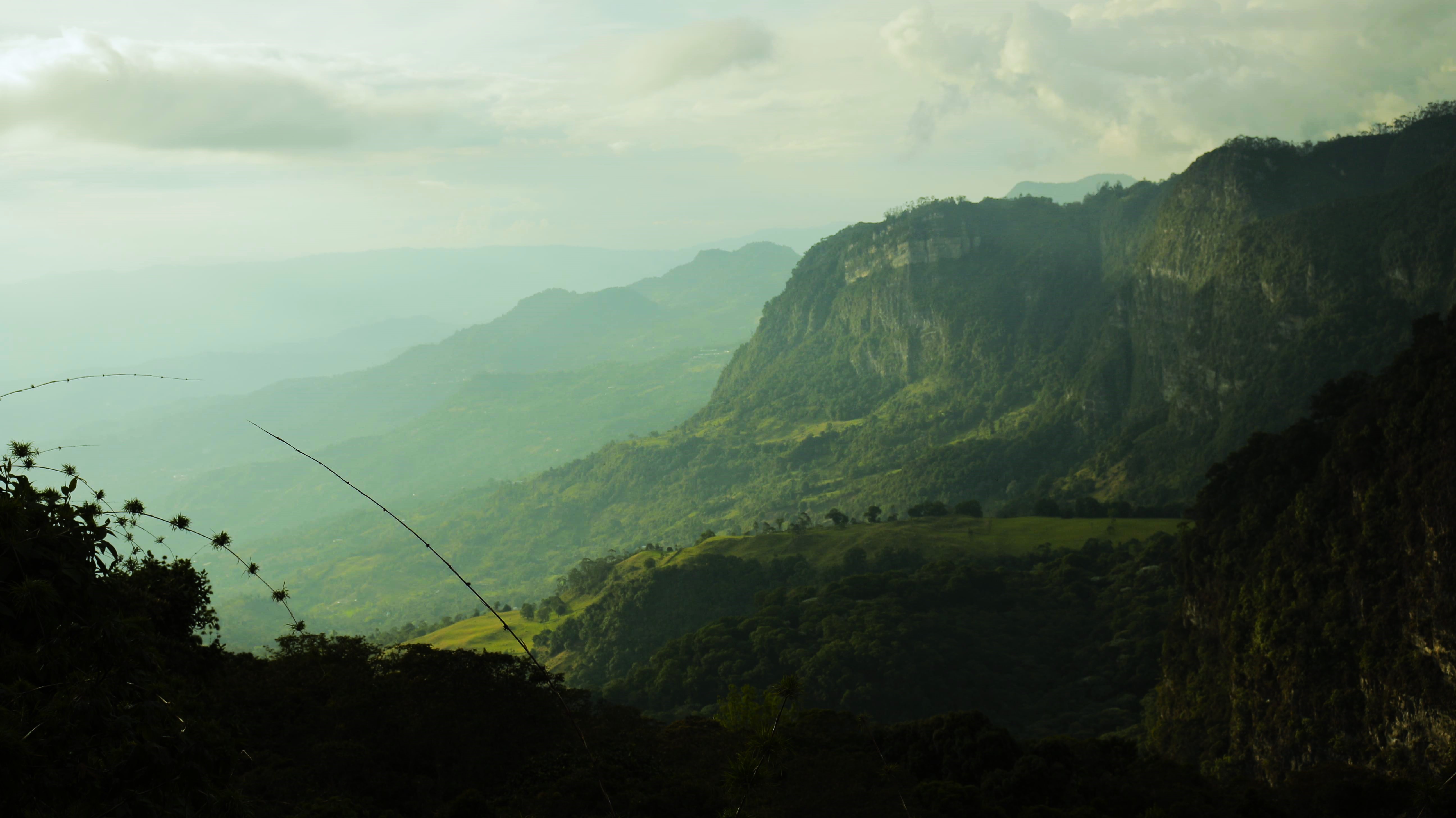 CHICAQUE