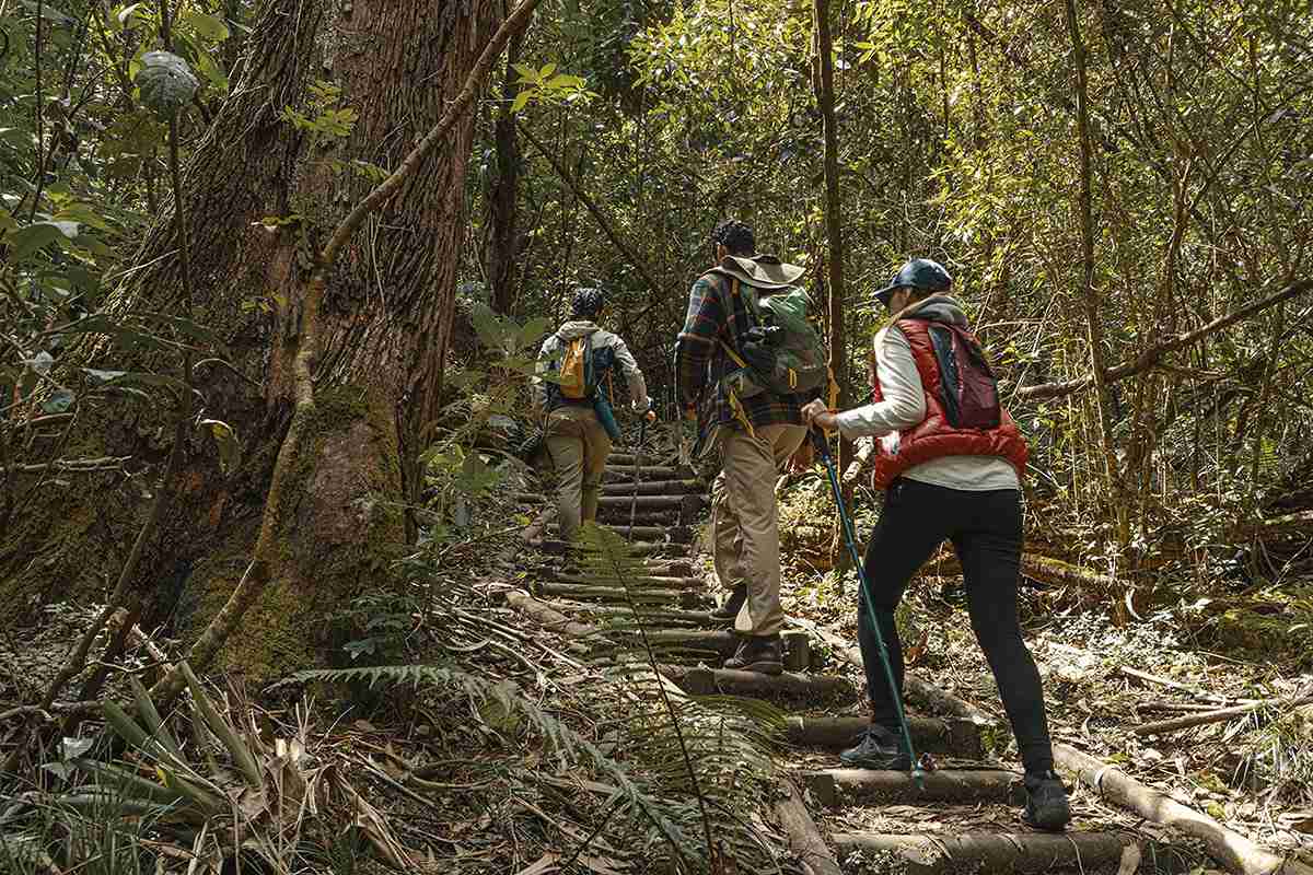 It is one of the many trails you can explore during your visit to Bogota. Photo by Ricardo Báez, Bogotá Tourism Office