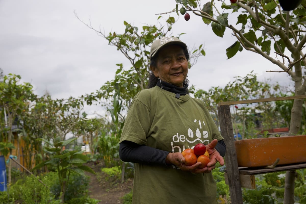 Melba Castrillón, co-founder of the Guerreras y Guerreros Vegetable Garden, shows the fruits of trees harvested in the garden. Photo by Juan José Sotelo - IDT