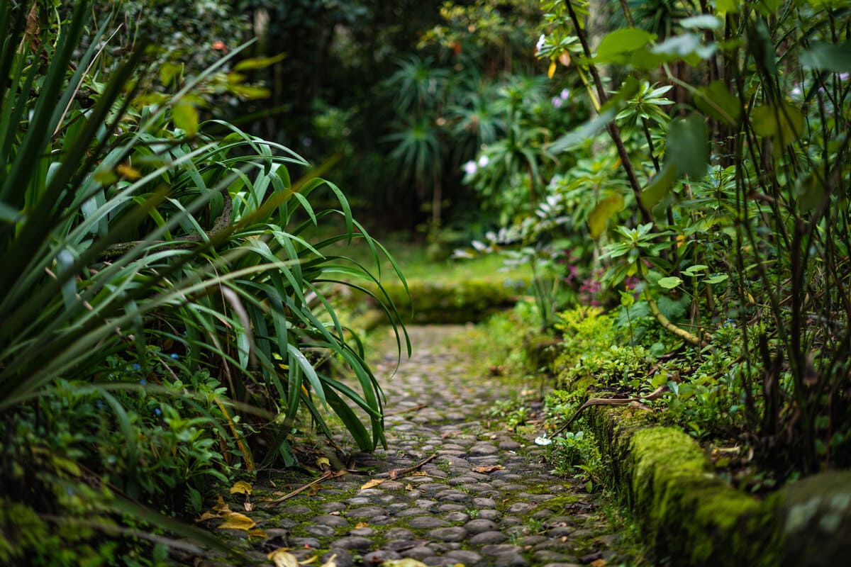 Road leading to the vegetable garden and green areas located in Quinta de Bolívar. Photograph by Manuela Picón Reina - IDT