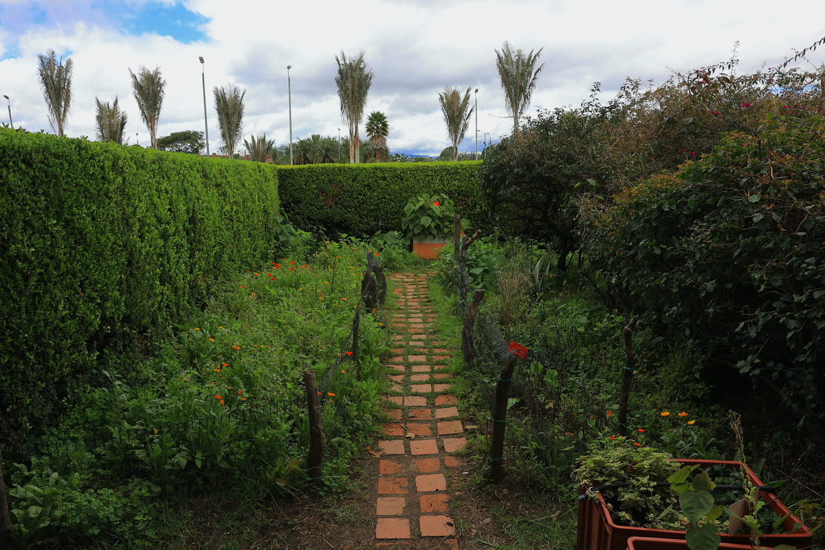 Siquie Vegetable Garden, which means "road to the water" in the Muisca language, is located at the Virgilio Barco Library. Photo by Juan Sotelo - IDT