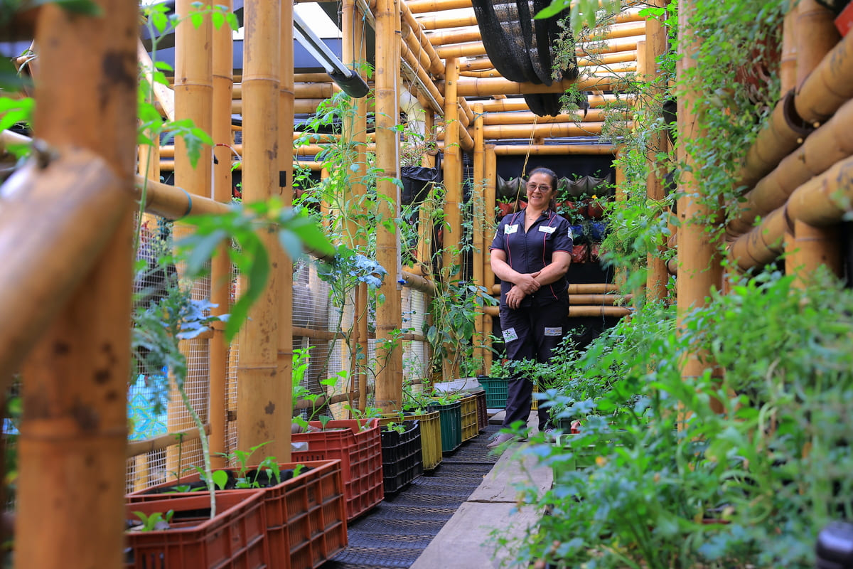 Rosalba Parra, maintenance manager of the FunCener vegetable garden. Photo by Juan Sotelo -IDT