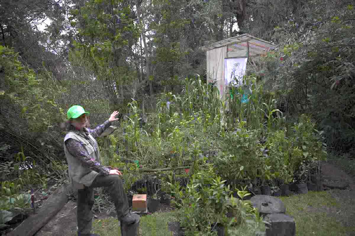 Lupita de Heredia, creator of Lupita de los Cerros vegetable garden. Photo by: Juan Sotelo - IDT