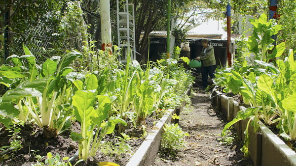 Neighborhood Vegetable Gardens RouteNeighborhood Vegetable Gardens Route