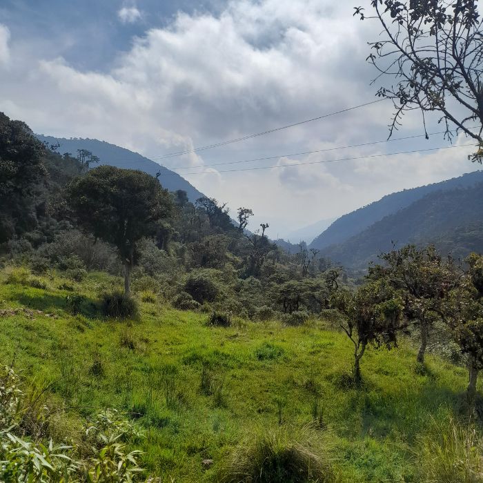 Descubre la ruta termal en Bogotá.