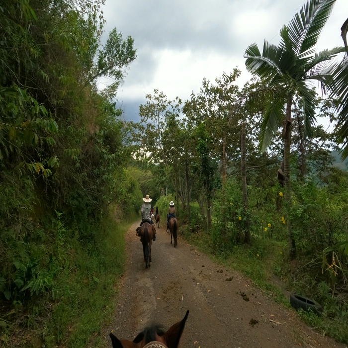 Conoce Bogotá a caballo