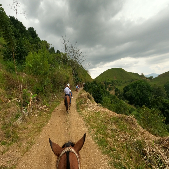 Conoce Bogotá a caballo