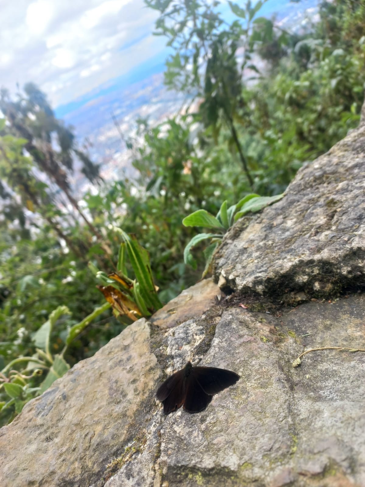 ¡Atrévete a vivir el Desafío Monserrate!