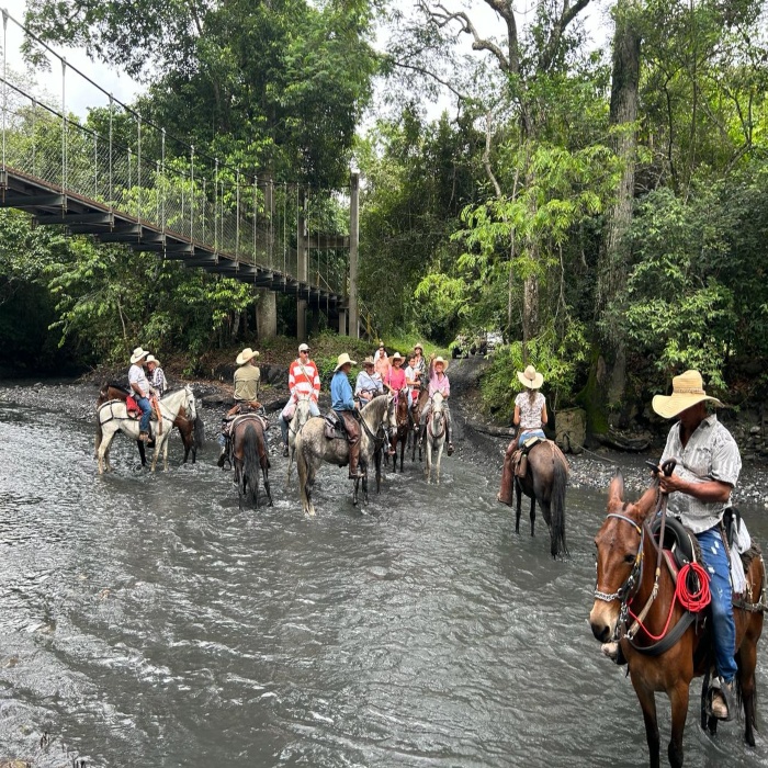 Conoce Bogotá a caballo