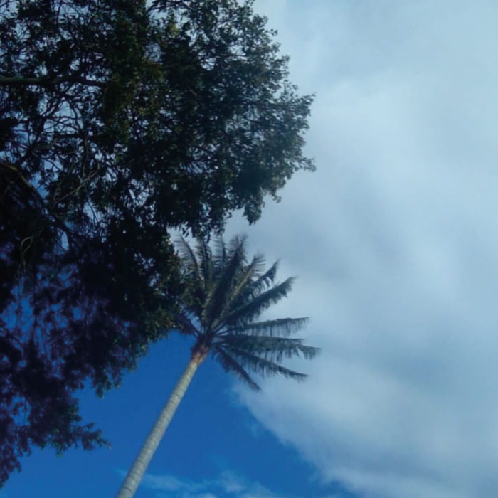 Disfruta de la naturaleza con una experiencia de equilibrio y bienestar