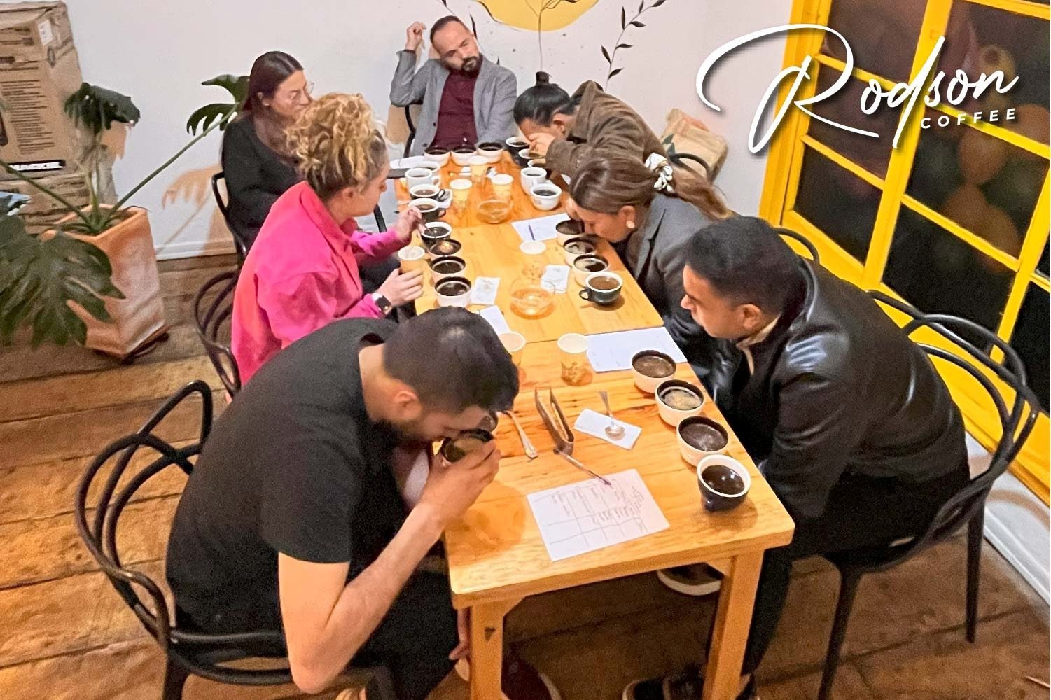 Experiencia sensorial y cata de café en Bogotá 