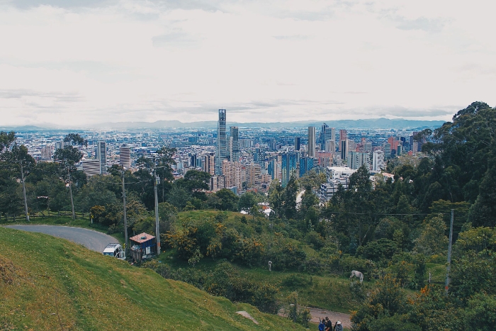 Baños de bosque para disminuir el estrés