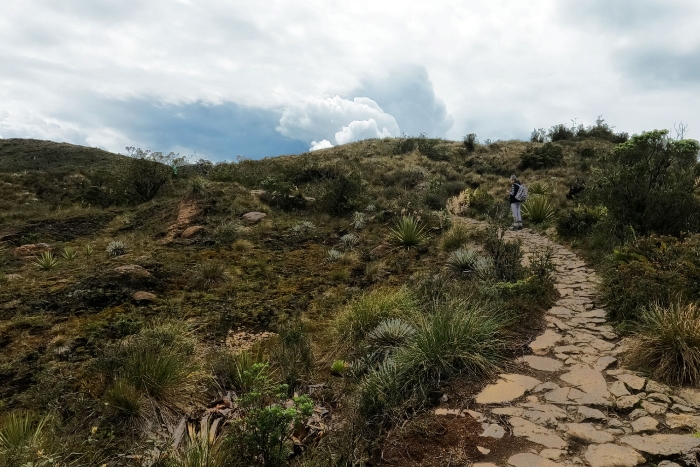 Reduce stress with forest bathing