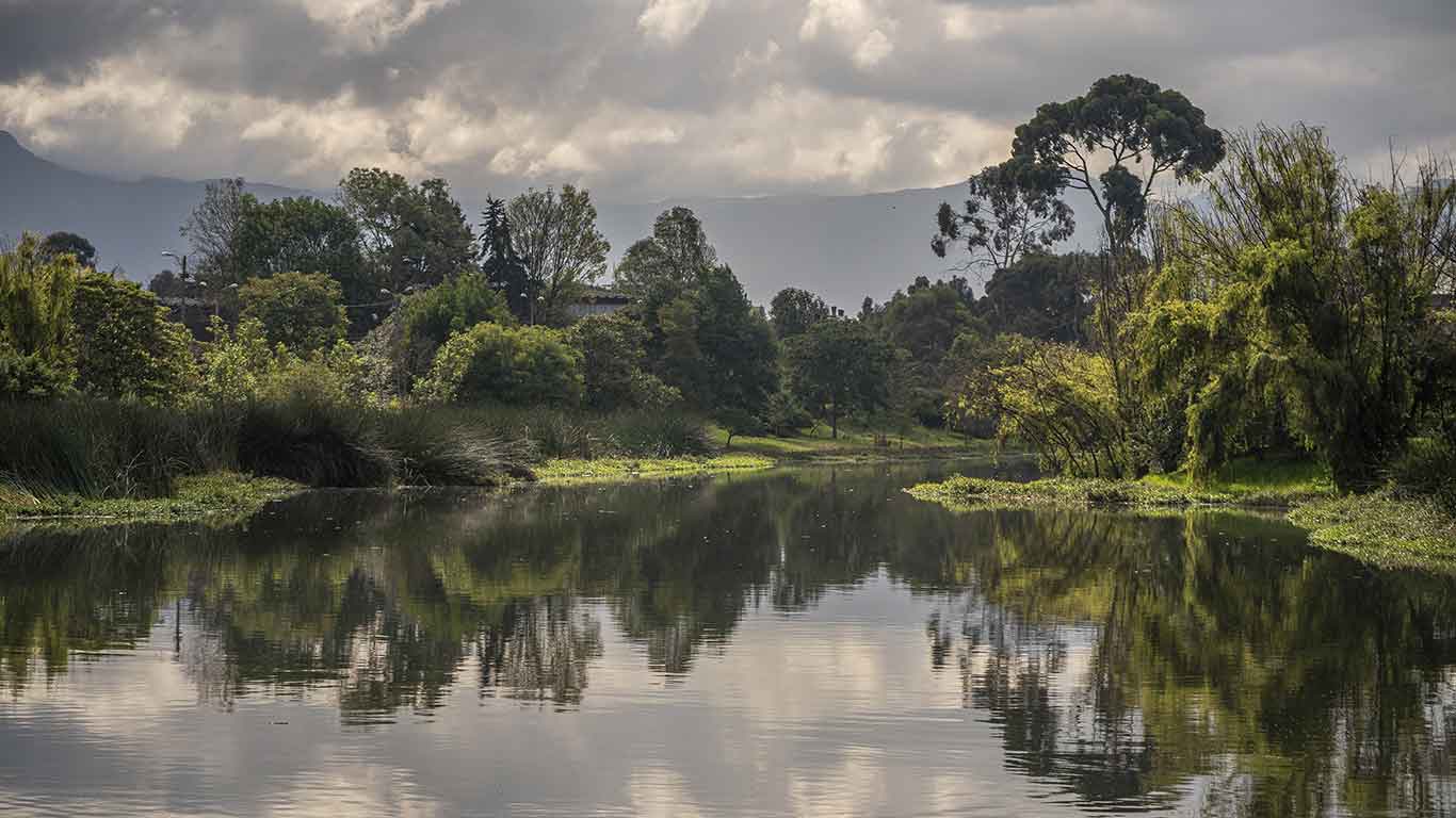 La Vaca Wetland