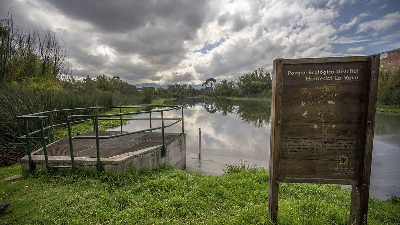 La Vaca Wetland 