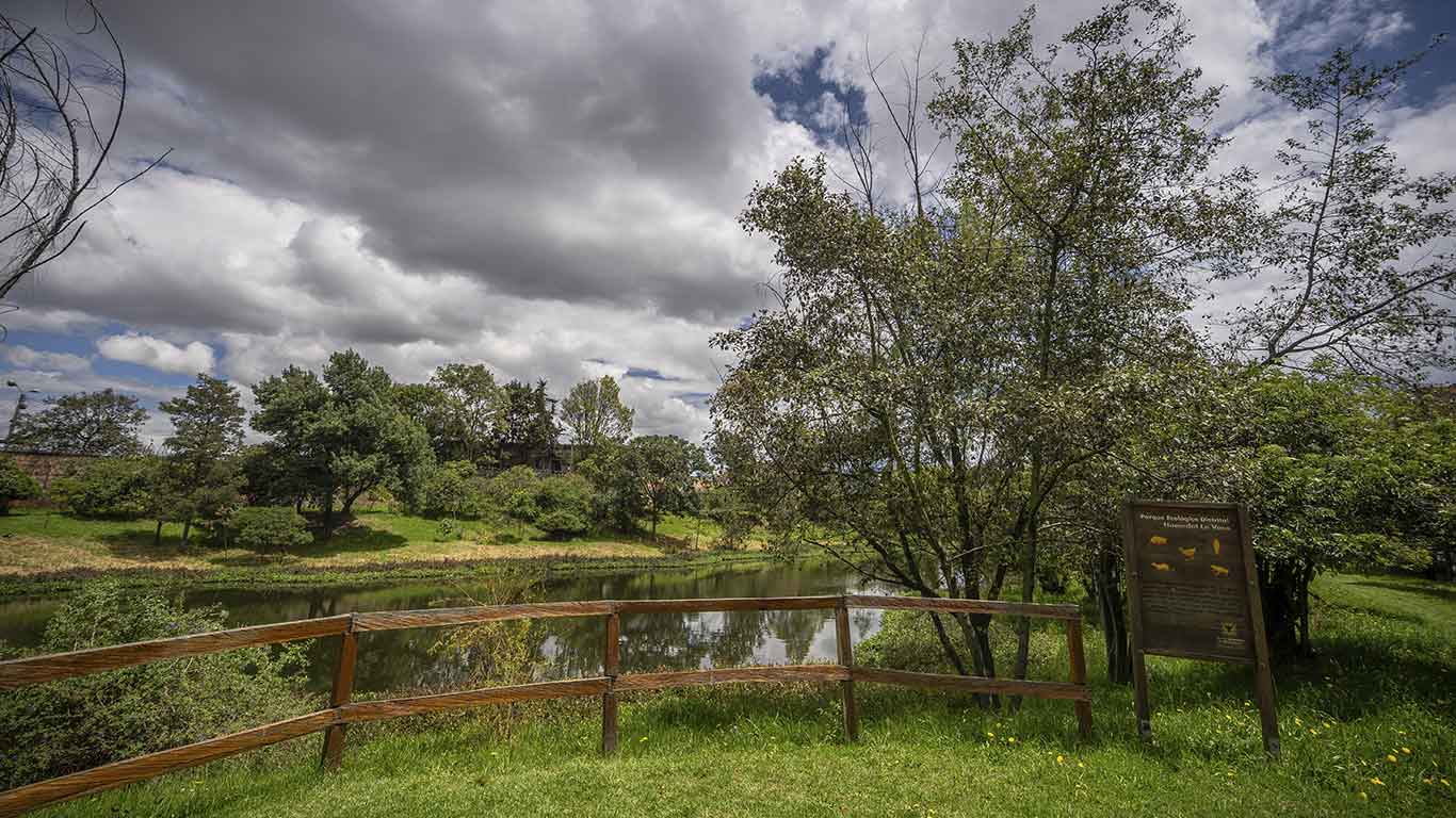 Humedal La Vaca En Bogotá: Cómo Llegar Y Qué Hacer