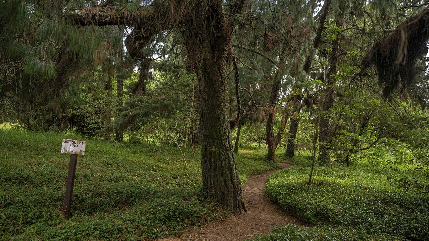 El Salitre Wetland