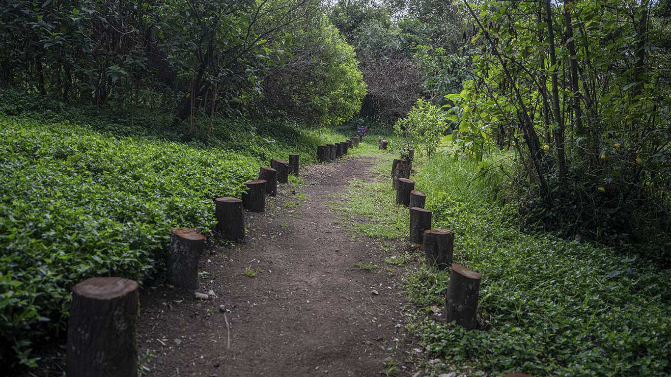 El Salitre Wetland